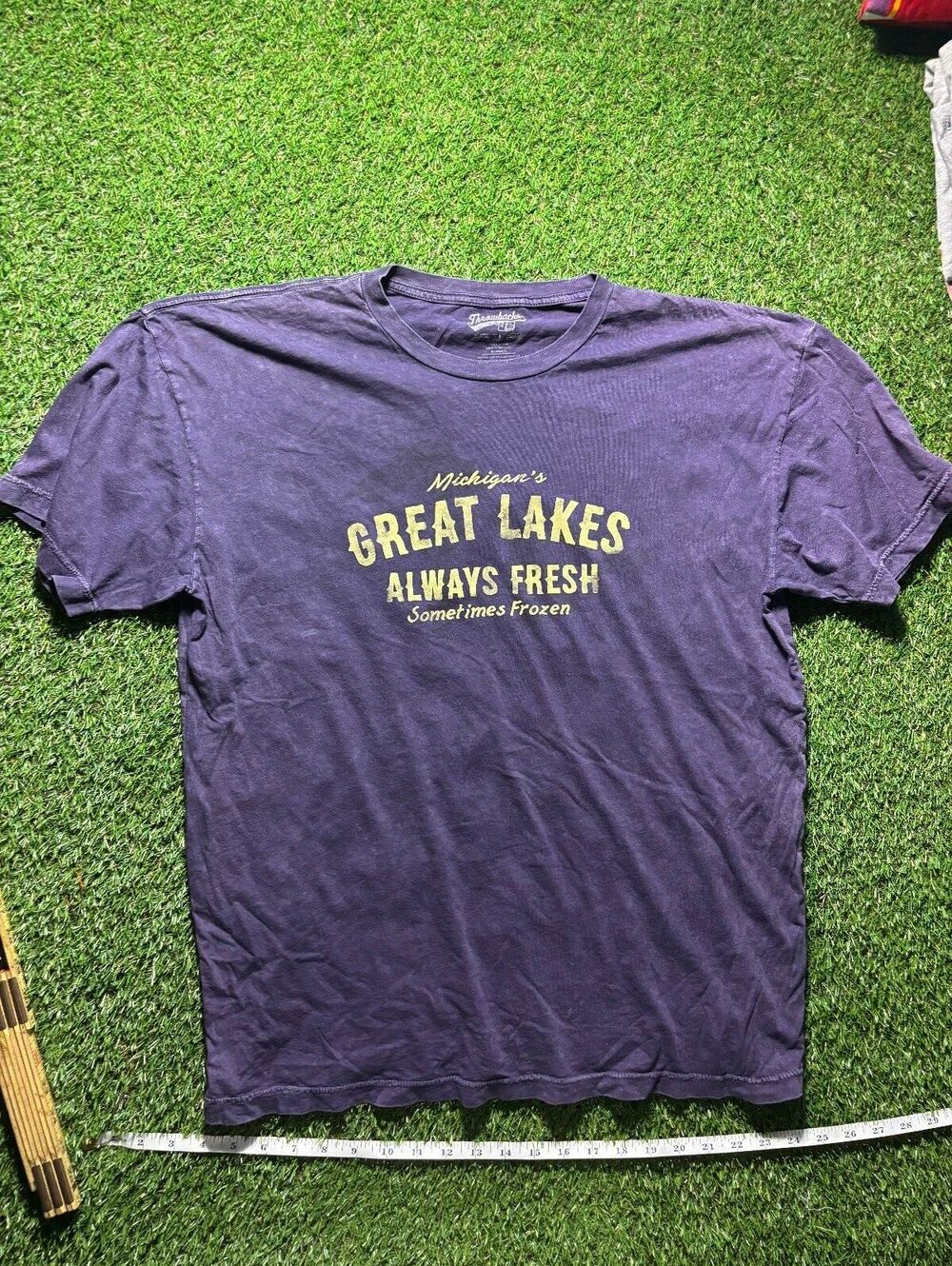 comfy 2000s great lakes t-shirt